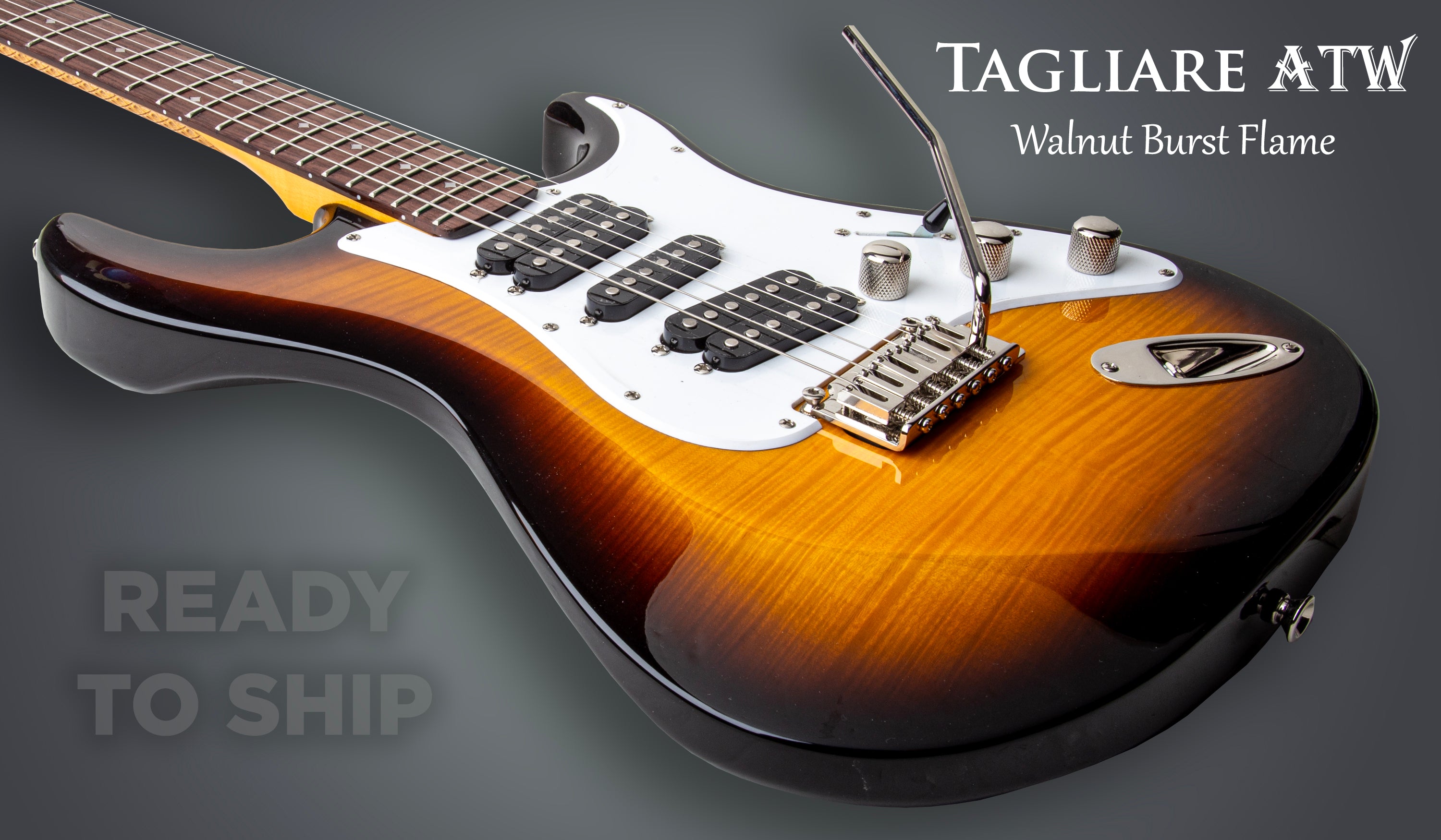 Ready-To-Ship Guitars – DZPL